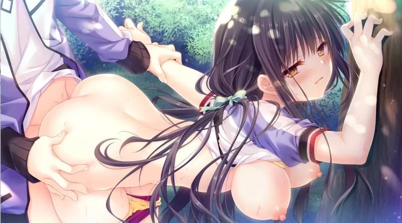 [PCADV汉化] 少女＊领域 オトメ＊ドメイン CG[3G]